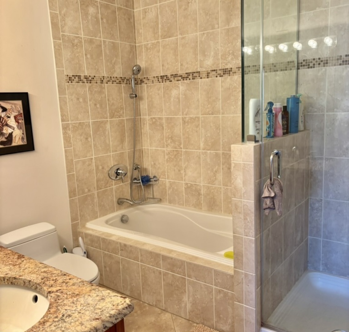 1229 Central Street, Unit A Evanston, IL 60201 - Photo 8 of 14 a bathroom with a bathtub and shower