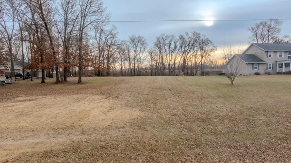 a view of a yard with a tree