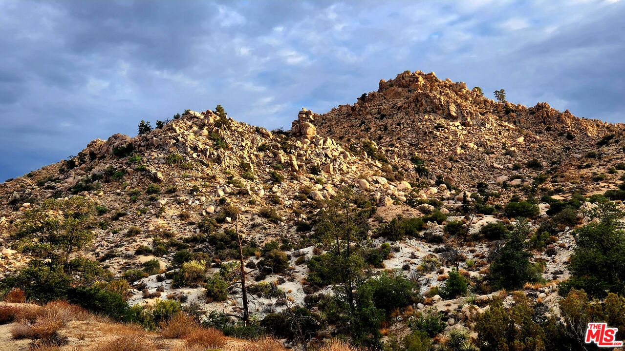 10 West Omega Trail Yucca Valley, CA 92284 - Photo 1 of 35 a view of a large building