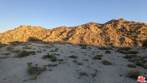 a view of a dry yard with mountains in the background