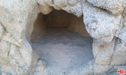 a view of a small yard