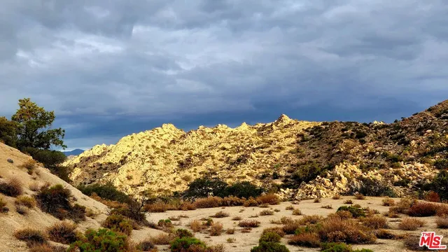 a view of a mountain