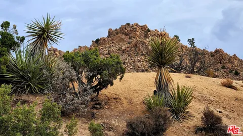 a view of a tree with a yard