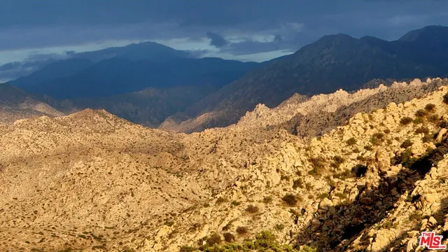 a view of a large tree with a mountain in the background