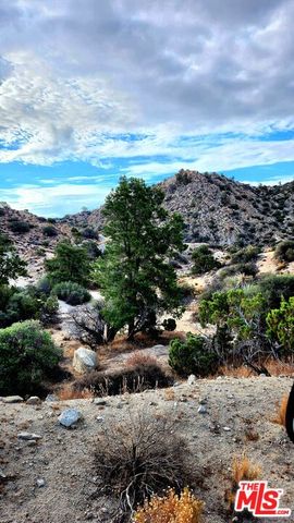 a view of a lake with a city