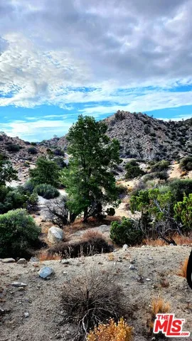 a view of a lake with a city
