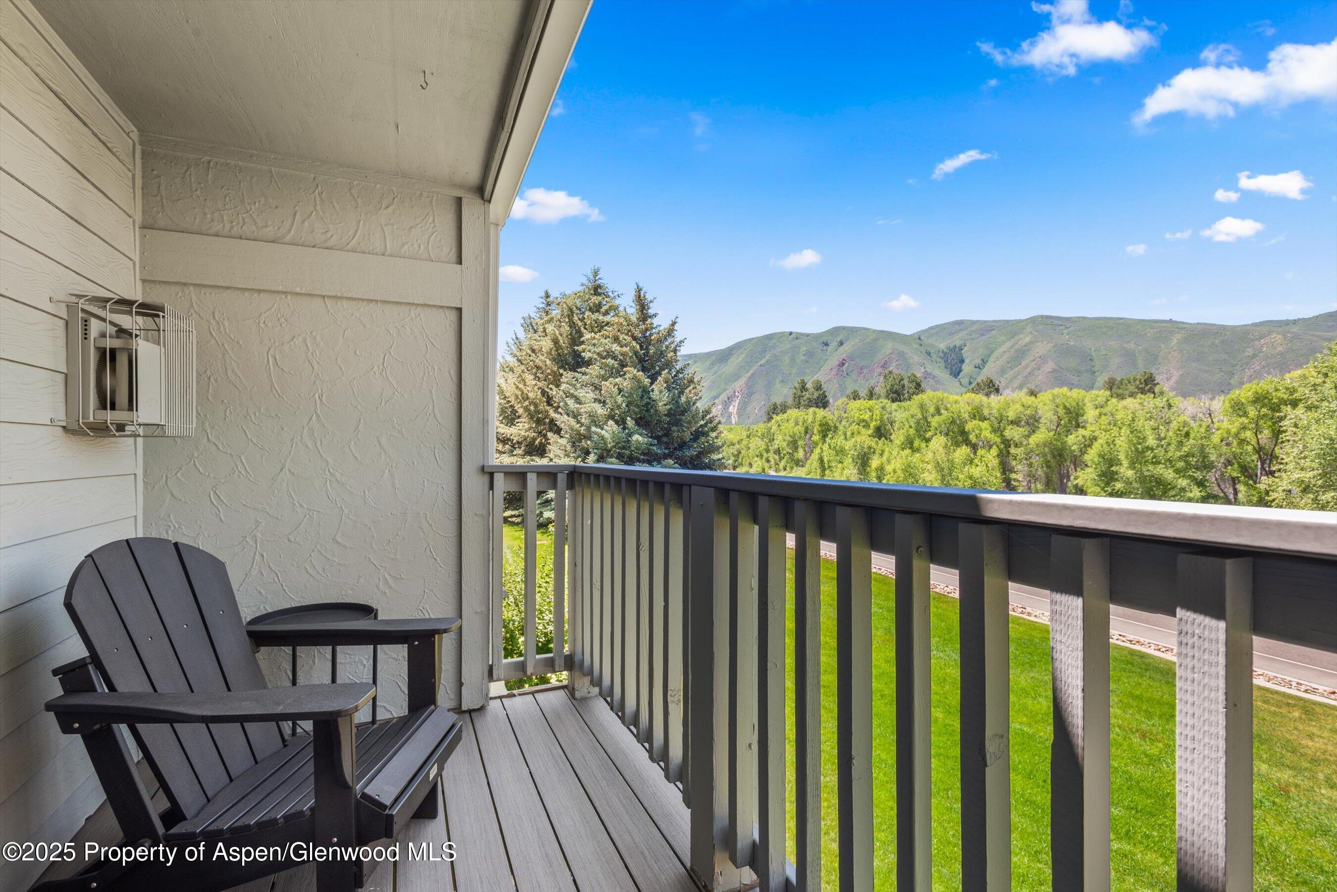 4202 Elk Lane Basalt, CO 81621 - Photo 12 of 15