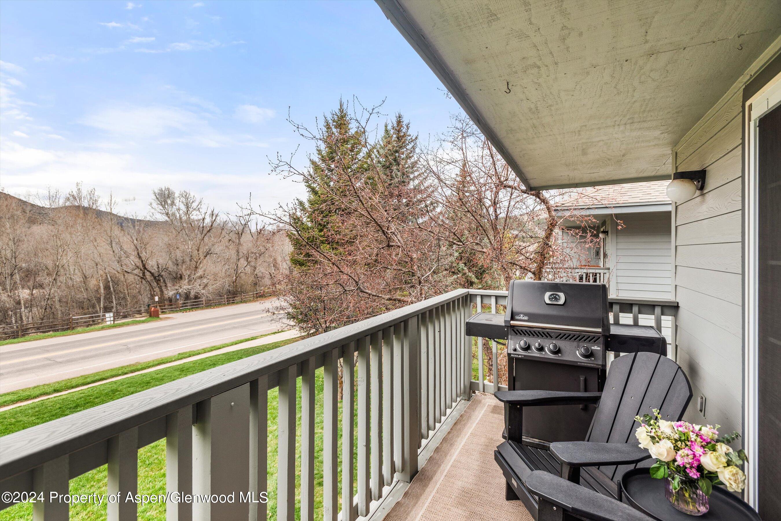 4202 Elk Lane Basalt, CO 81621 - Photo 13 of 15