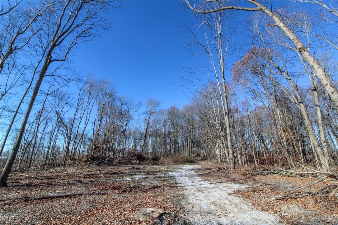0 Pleasant Chapel Road Southeast Newark, OH 43056 - Photo 17 of 23 View of road
