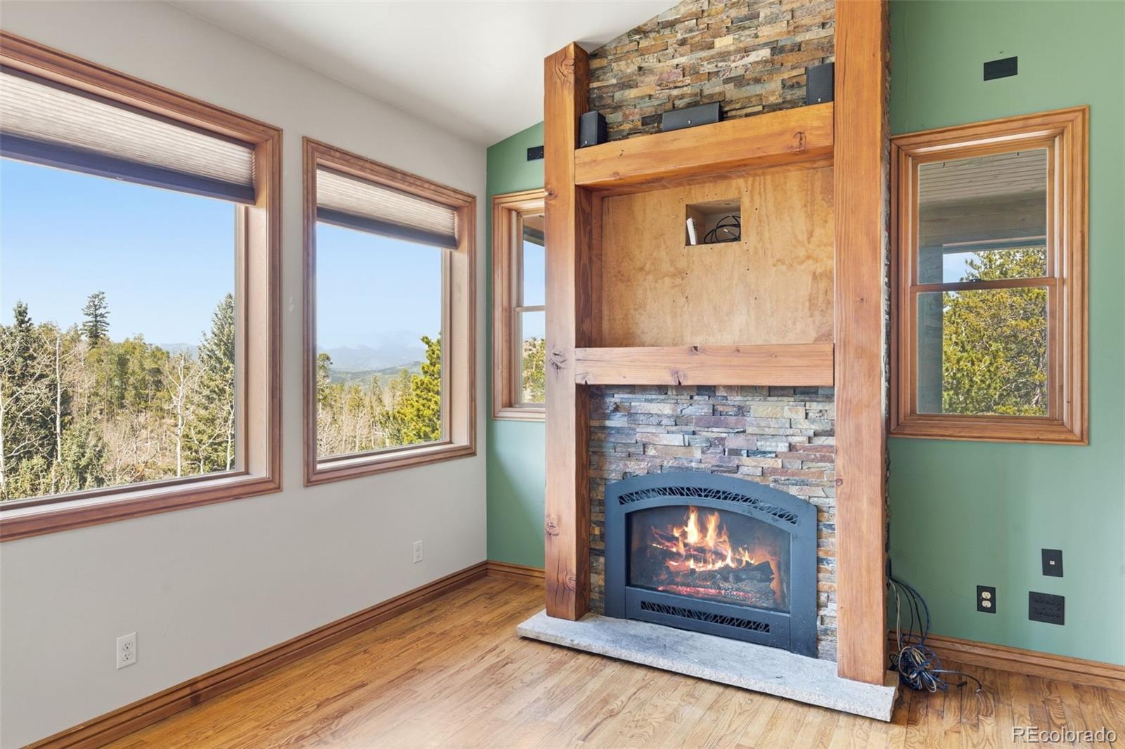 201 Olde Carter Lake Road Golden, CO 80403 - Photo 9 of 50