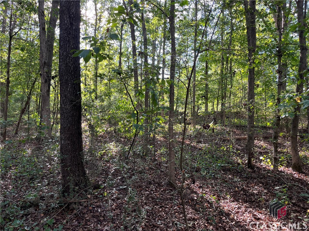 0 Drake Woods Road Danielsville, GA 30633 - Photo 3 of 6 Typical acreage