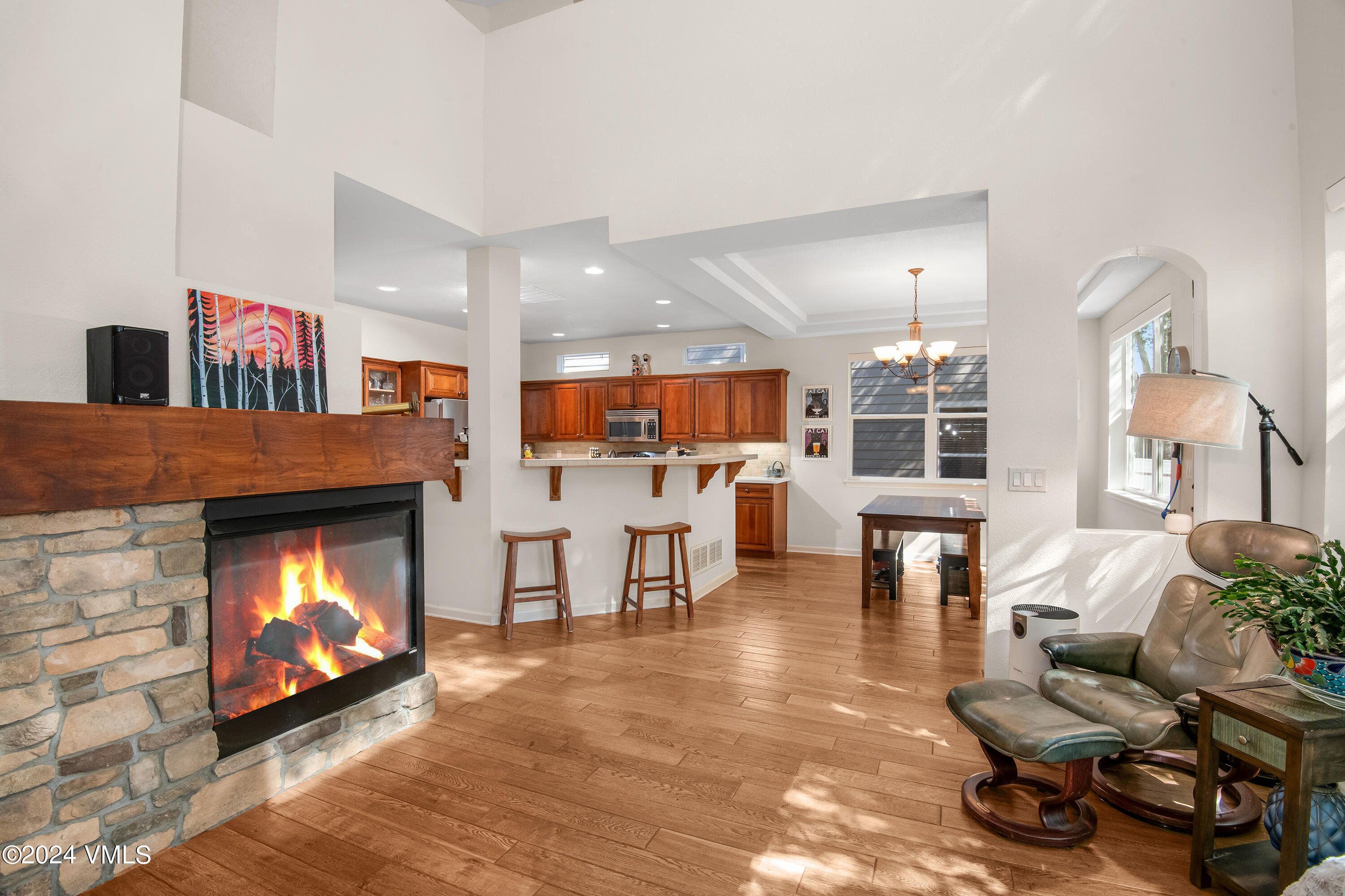 216 Mayer Street Eagle, CO 81631 - Photo 51 of 51 a living room with furniture and a fireplace