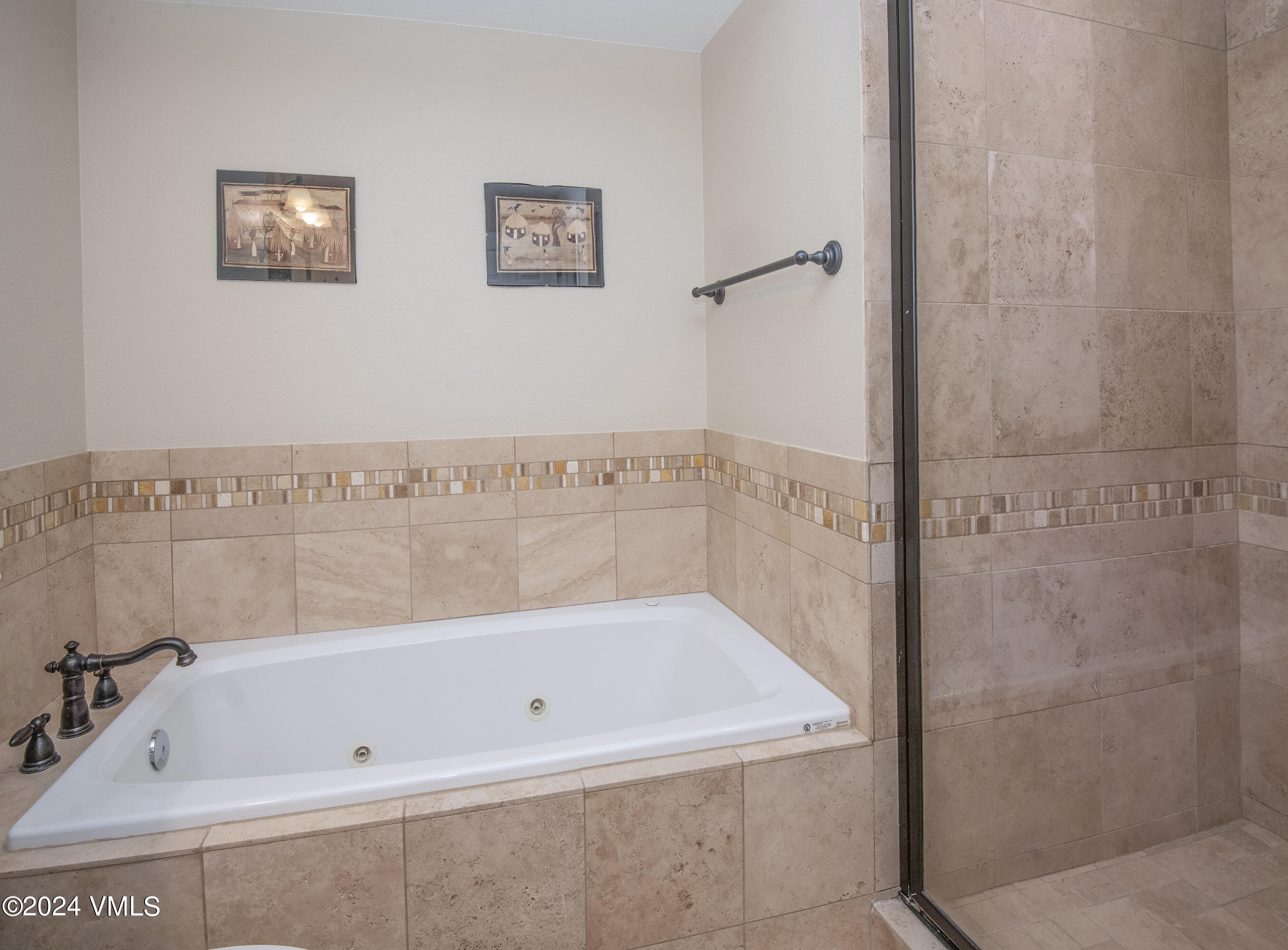 216 Mayer Street Eagle, CO 81631 - Photo 36 of 51 a bathroom with a tub and a shower