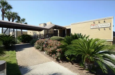 a view of a backyard with plants and a fountain