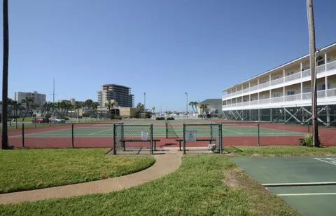 a view of a swimming pool with a yard