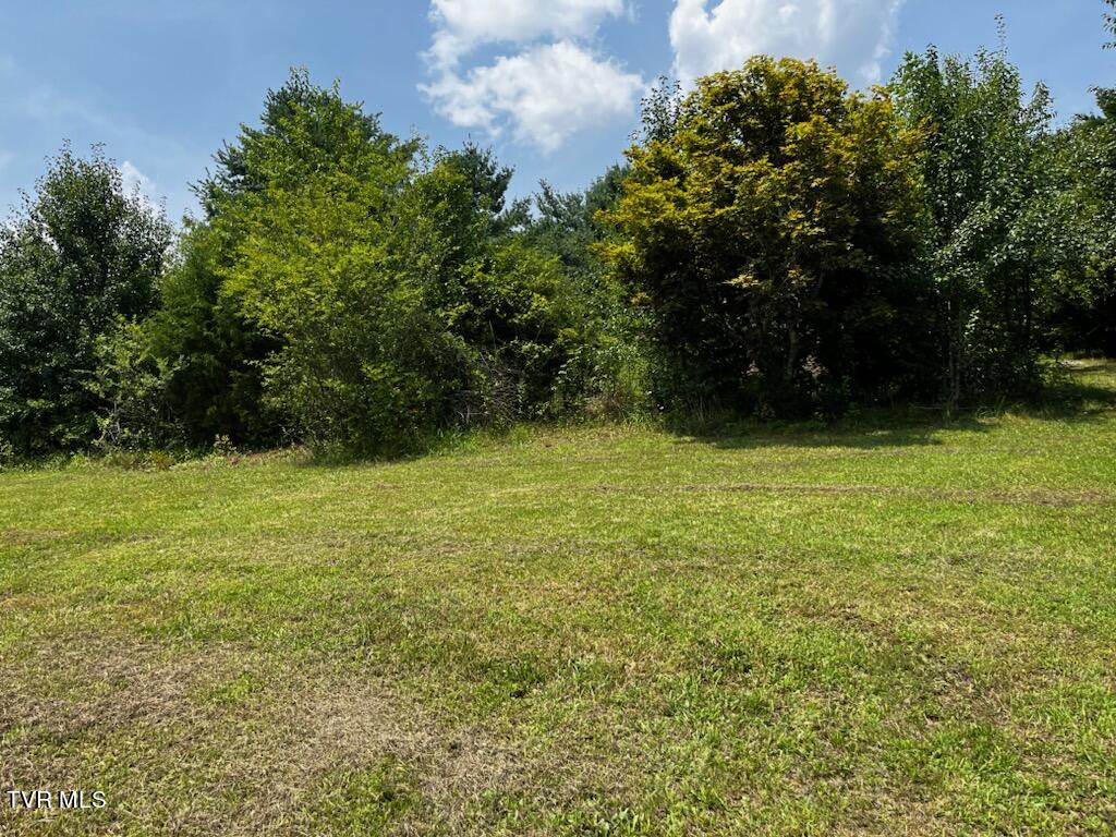 1146 Weaver Branch Road Bluff City, TN 37618 - Photo 1 of 4 IMG_9153