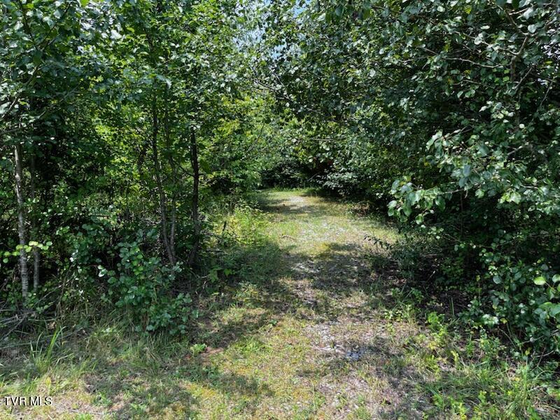 1146 Weaver Branch Road Bluff City, TN 37618 - Photo 3 of 4 IMG_9152