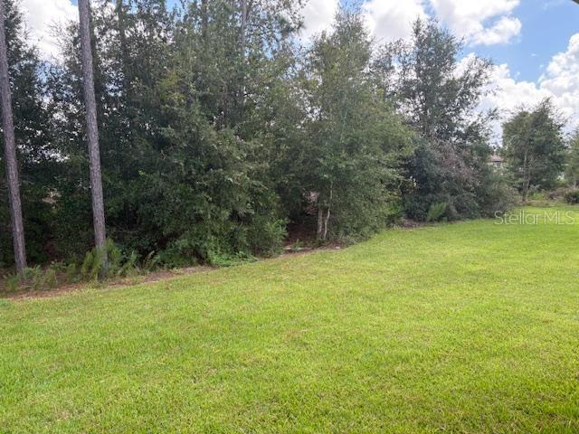 7643 Southwest 180th Circle Dunnellon, FL 34432 - Photo 9 of 18