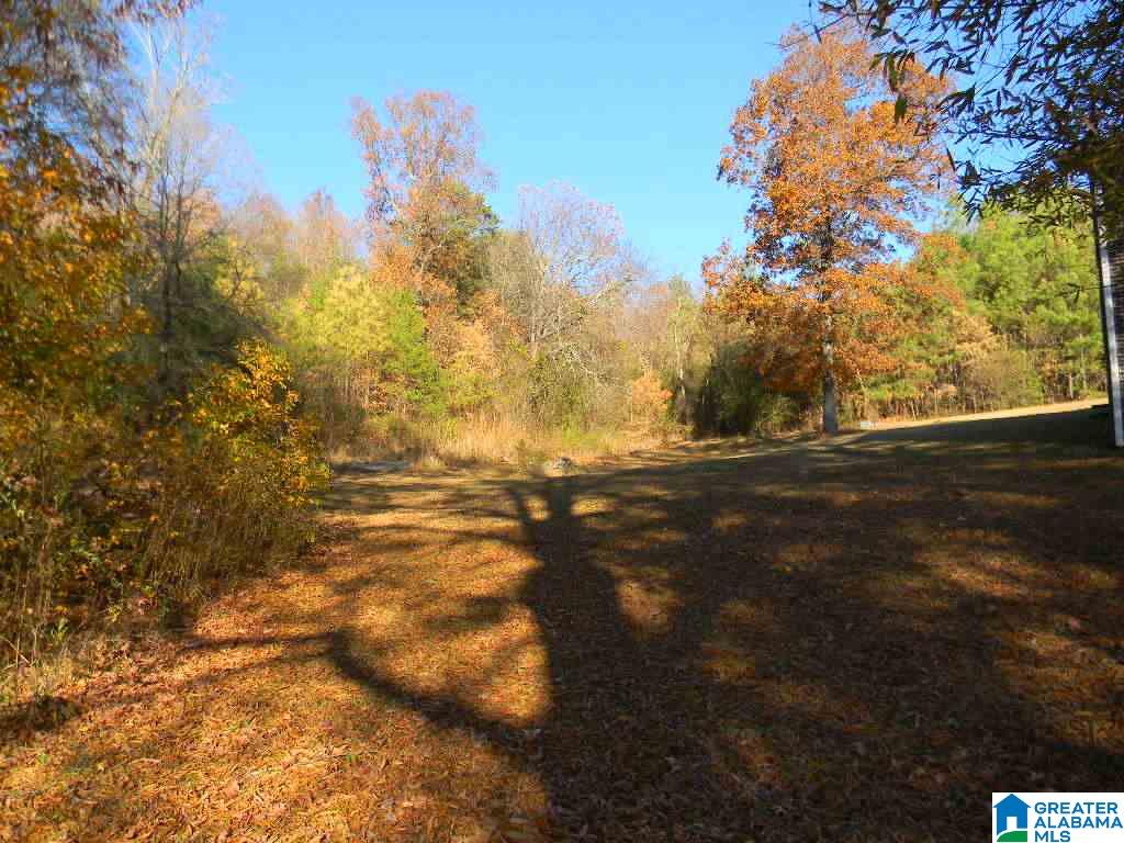 3344 Warrior River Road Bessemer, AL 35023 - Photo 26 of 28