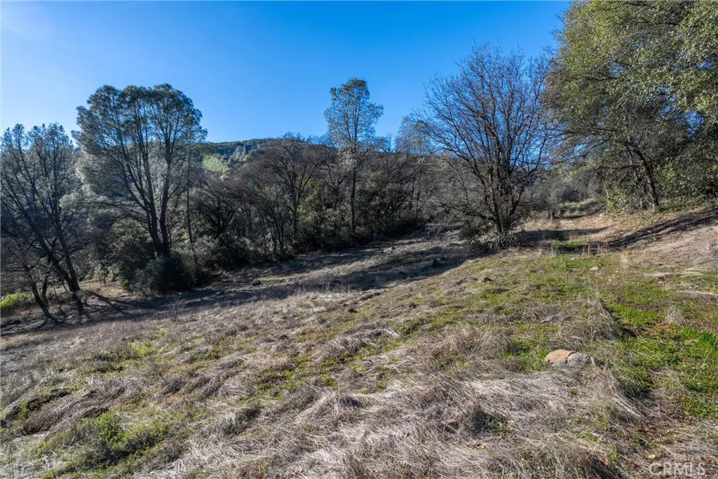 0 Crown Point Road Magalia, CA 95954 - Photo 18 of 39 a view of a dry yard with trees