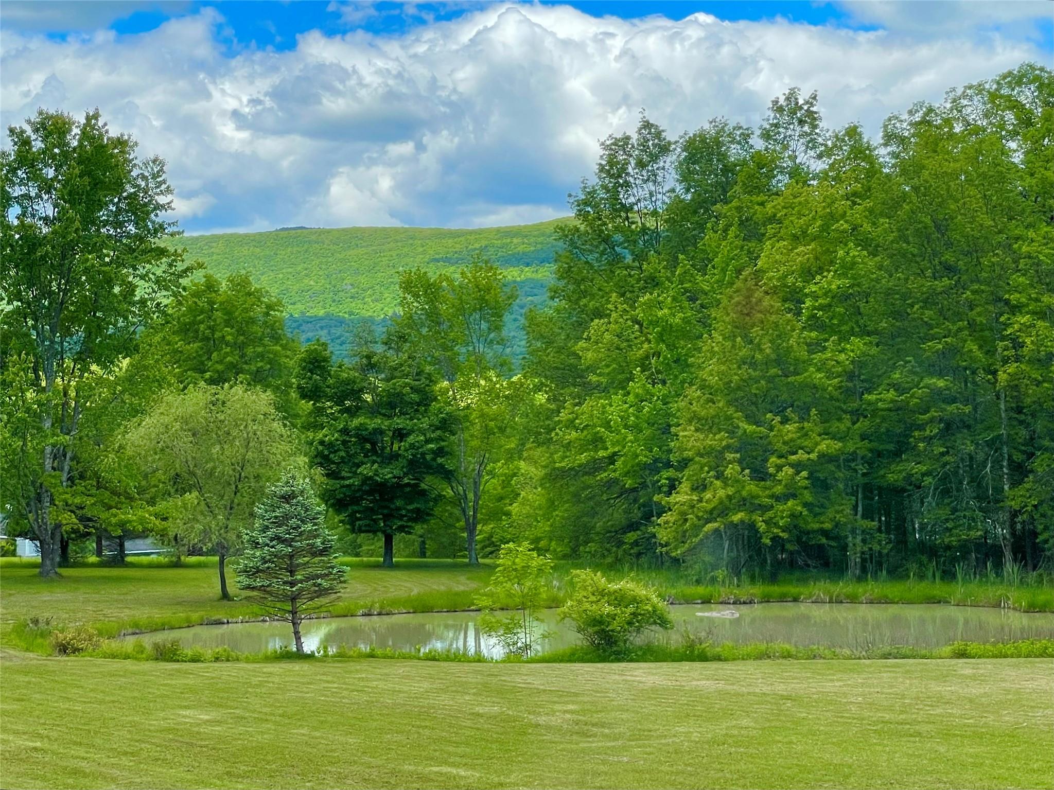 71 Saddleback Ridge Wallkill, NY 12589 - Photo 2 of 39 View Shawangunk Mountains with a pond and a lawn