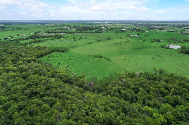 a view of a green field with lots of bushes