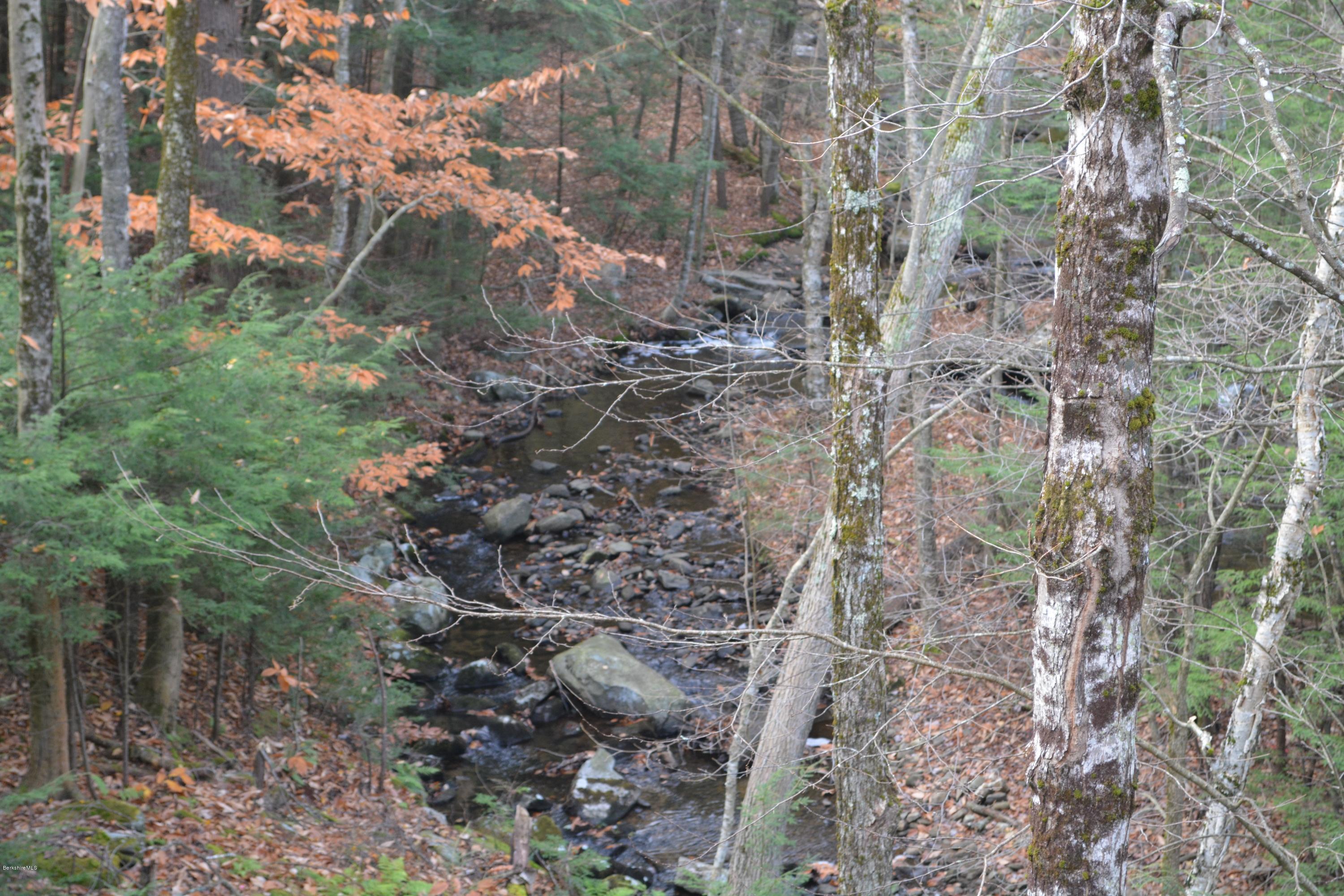 138 Bonny Rigg Hill Road Becket, MA 01223 - Photo 34 of 39 a backyard of a house with lots of green space
