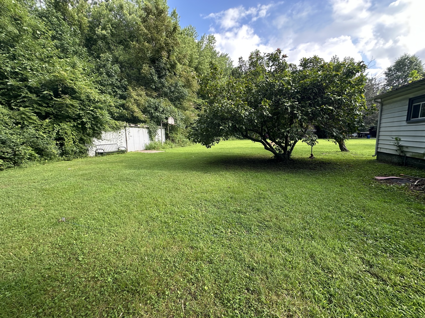 1603 South W Road West Frankfort, IL 62896 - Photo 6 of 22 Gallery Image 6