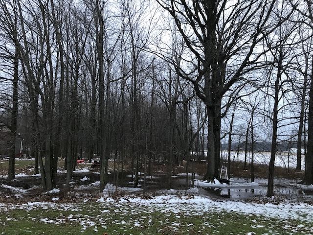 3405 North Carter Road Pinconning, MI 48650 - Photo 33 of 37