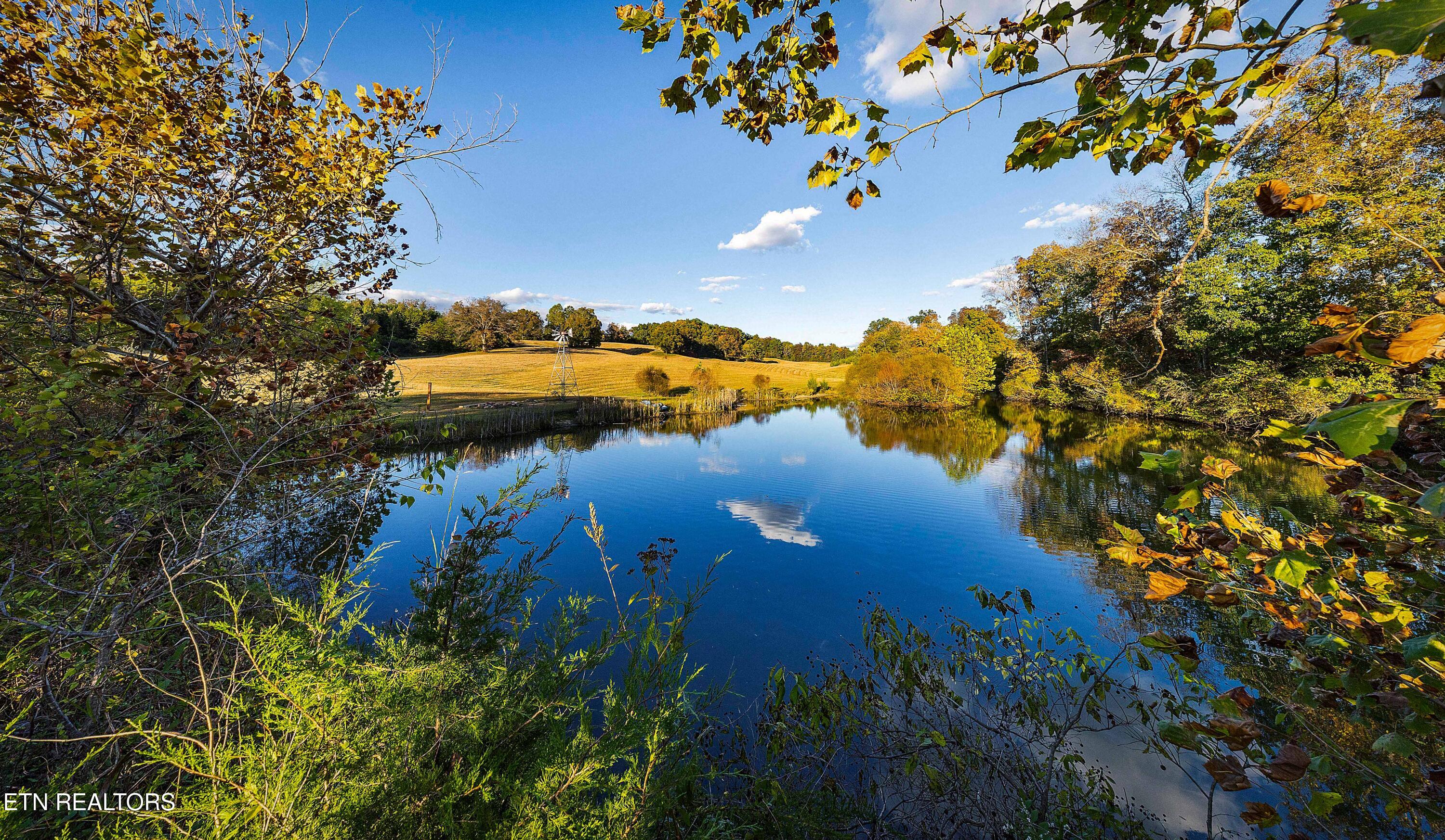 2003 Reagan Mill Road Maryville, TN 37803 - Photo 42 of 42 L40A8182