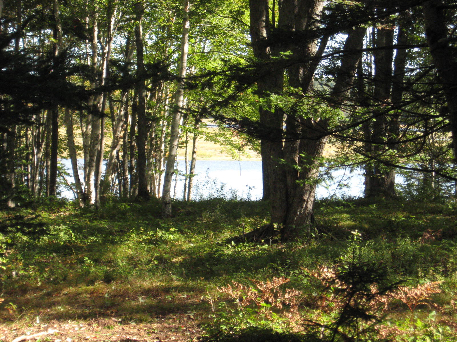 0 Wescogus Road Addison, ME 04606 - Photo 5 of 17 IMG_0003