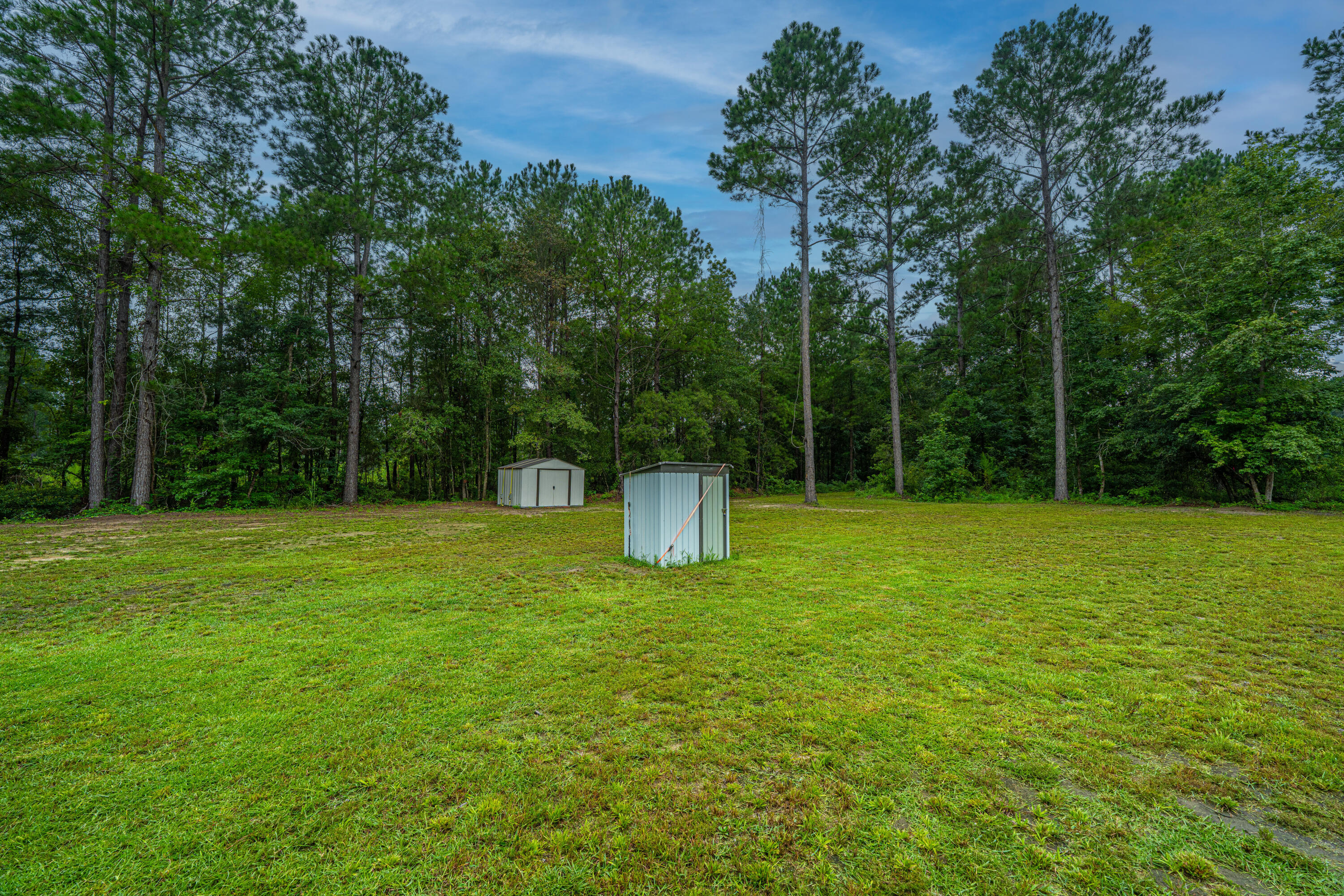 204 Wyman Road Eutawville, SC 29048 - Photo 34 of 40 Back Yard