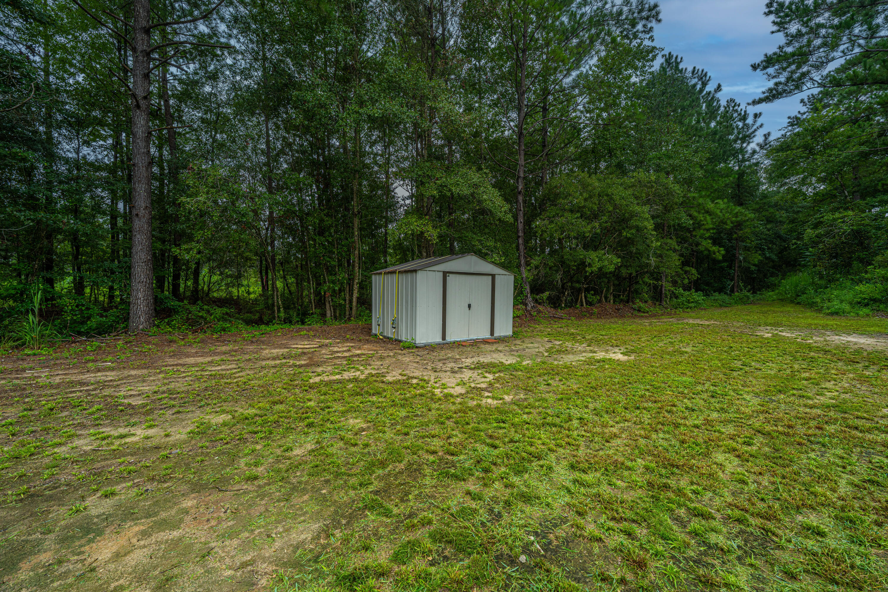 204 Wyman Road Eutawville, SC 29048 - Photo 35 of 40 Back Yard