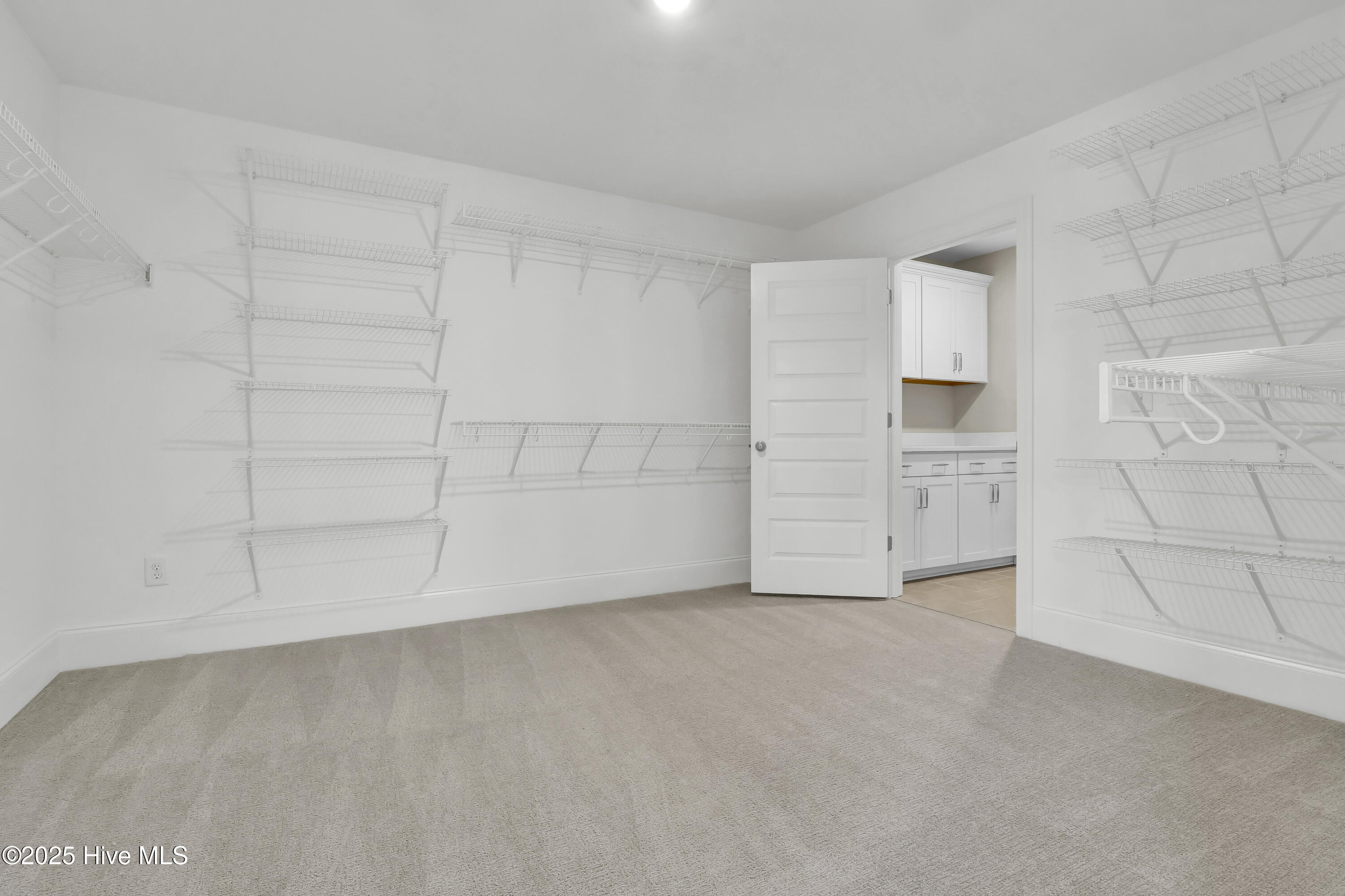 102 Planters Walk Hampstead, NC 28443 - Photo 28 of 52 Primary Closet