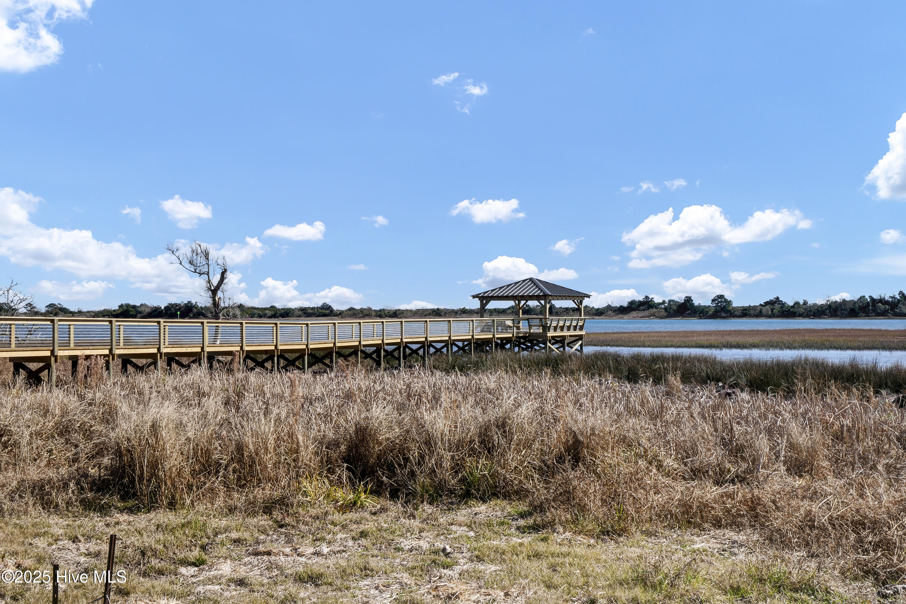 102 Planters Walk Hampstead, NC 28443 - Photo 52 of 52 Community Day Dock