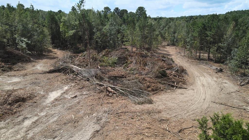 500 Uren Lee Road Overton, TX 75684 - Photo 12 of 18 a view of a dry yard with trees in the background