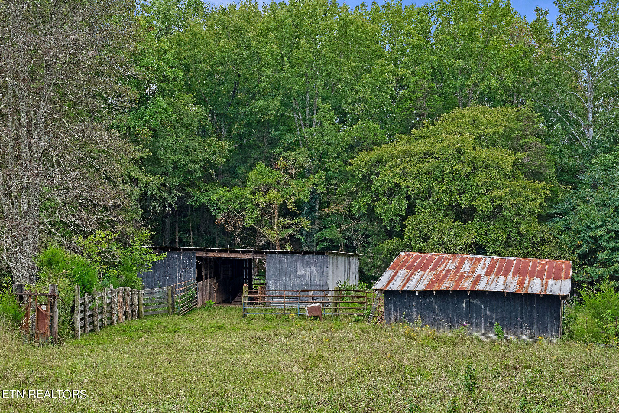 217 Joppa Road Alpine, TN 38543 - Photo 34 of 60 DSC02747