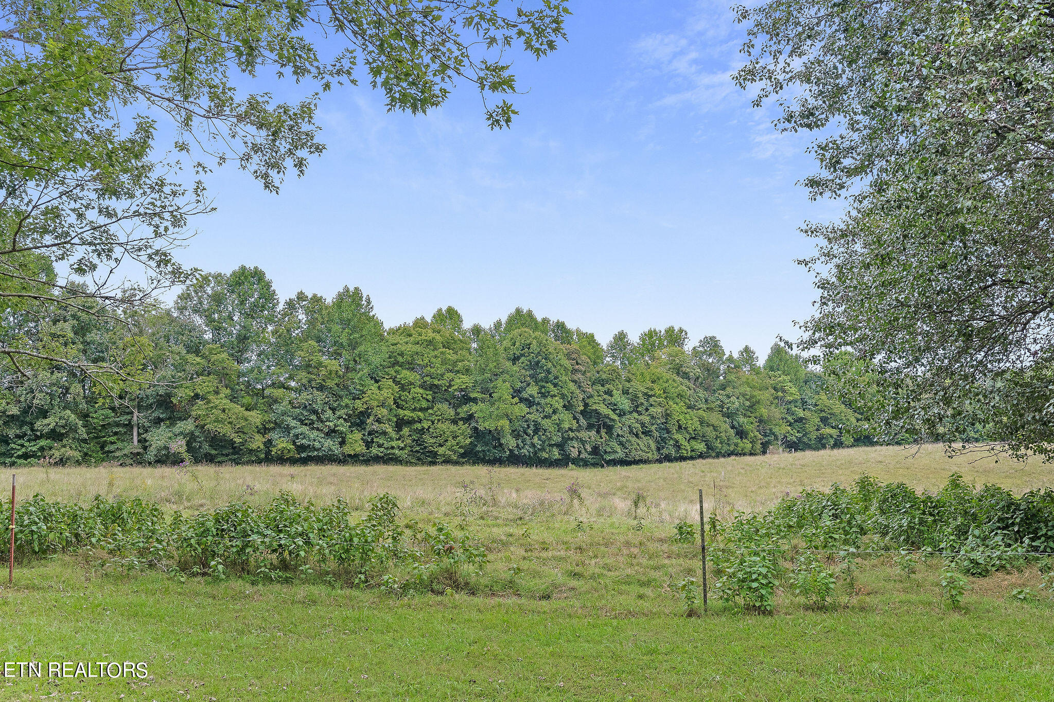 217 Joppa Road Alpine, TN 38543 - Photo 47 of 60 DSC02785