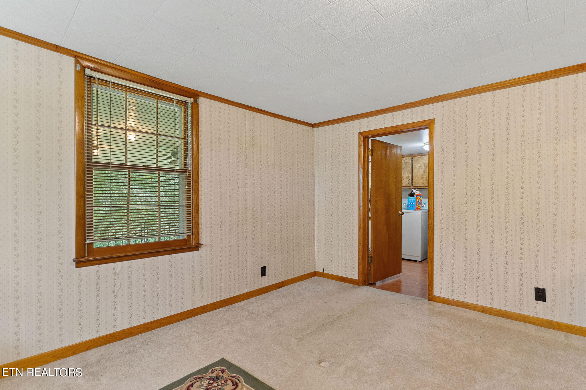 217 Joppa Road Alpine, TN 38543 - Photo 54 of 60 DSC02806