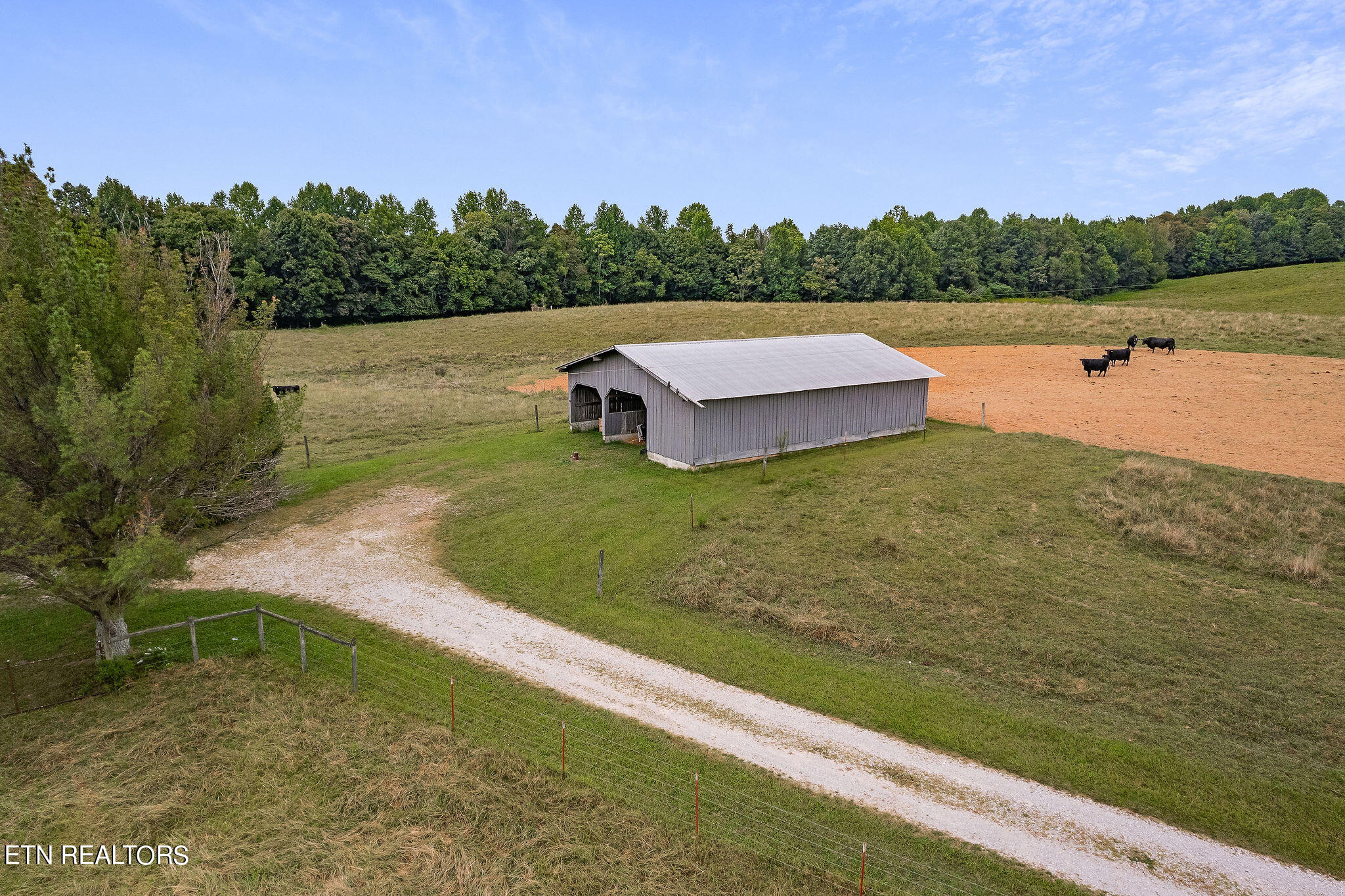 217 Joppa Road Alpine, TN 38543 - Photo 6 of 60 DJI_0031