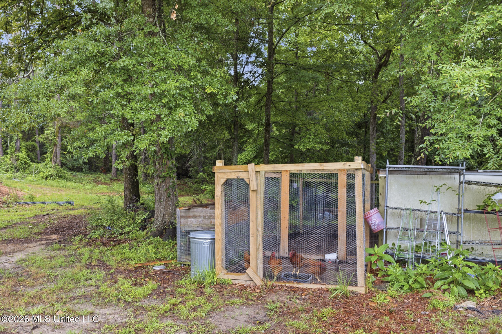 439 Poplar Springs Road Mendenhall, MS 39114 - Photo 12 of 41 439 Poplar Springs-11