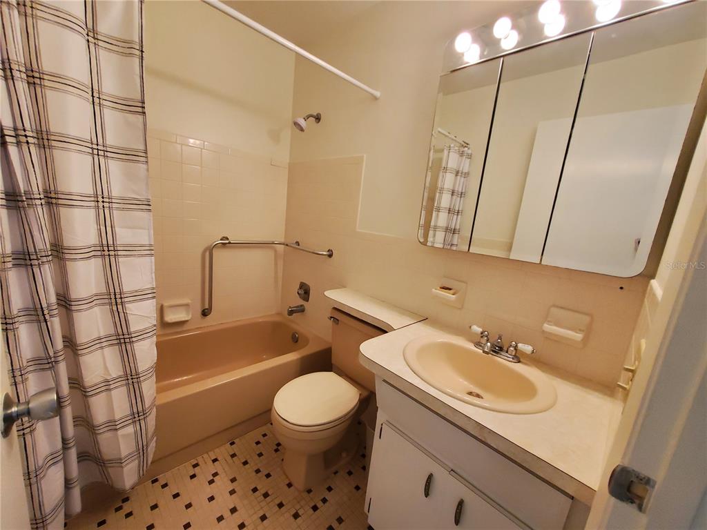 2461 Rhodesian Drive, Unit 19 Clearwater, FL 33763 - Photo 10 of 28 a bathroom with a sink a toilet and shower