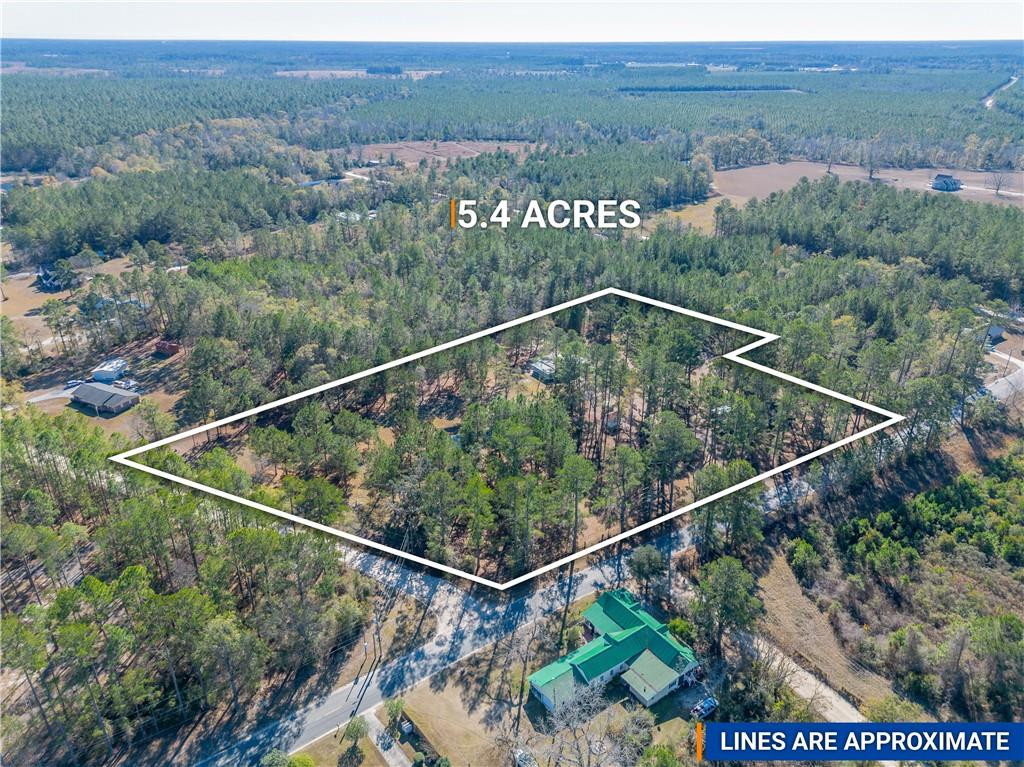 4768 Lovett Road Waycross, GA 31503 - Photo 5 of 36 Photo 5