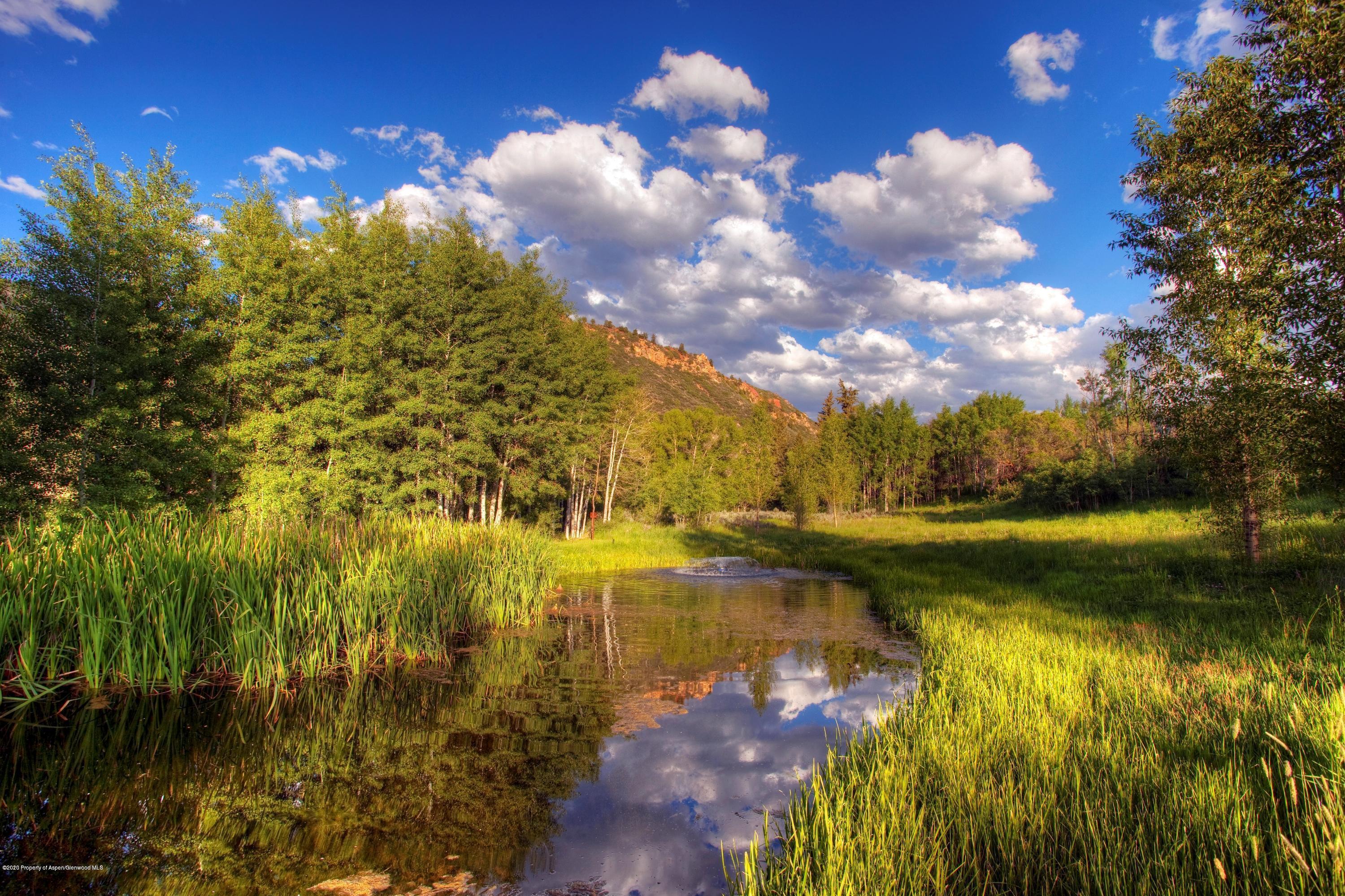 360 Coach Road Aspen, CO 81611 - Photo 14 of 33