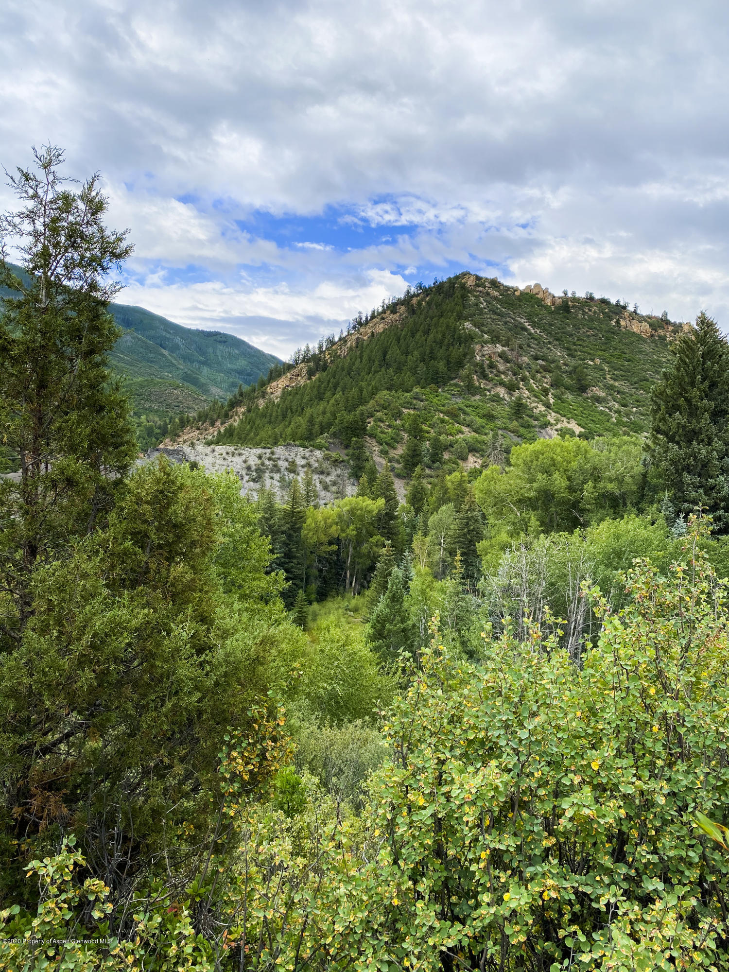 360 Coach Road Aspen, CO 81611 - Photo 16 of 33 a view of a green field with lots of bushes