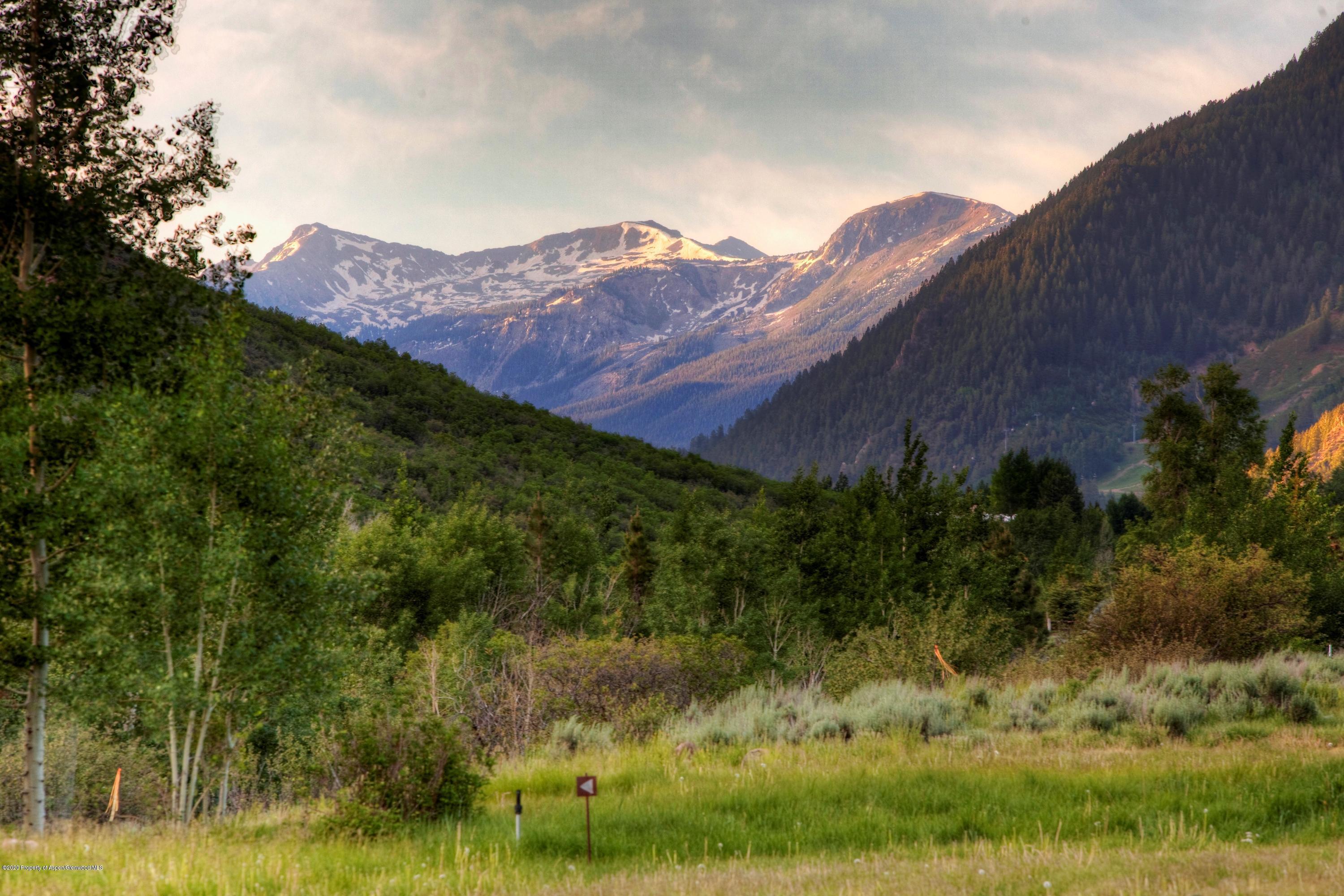 360 Coach Road Aspen, CO 81611 - Photo 5 of 33 a view of a lush green field