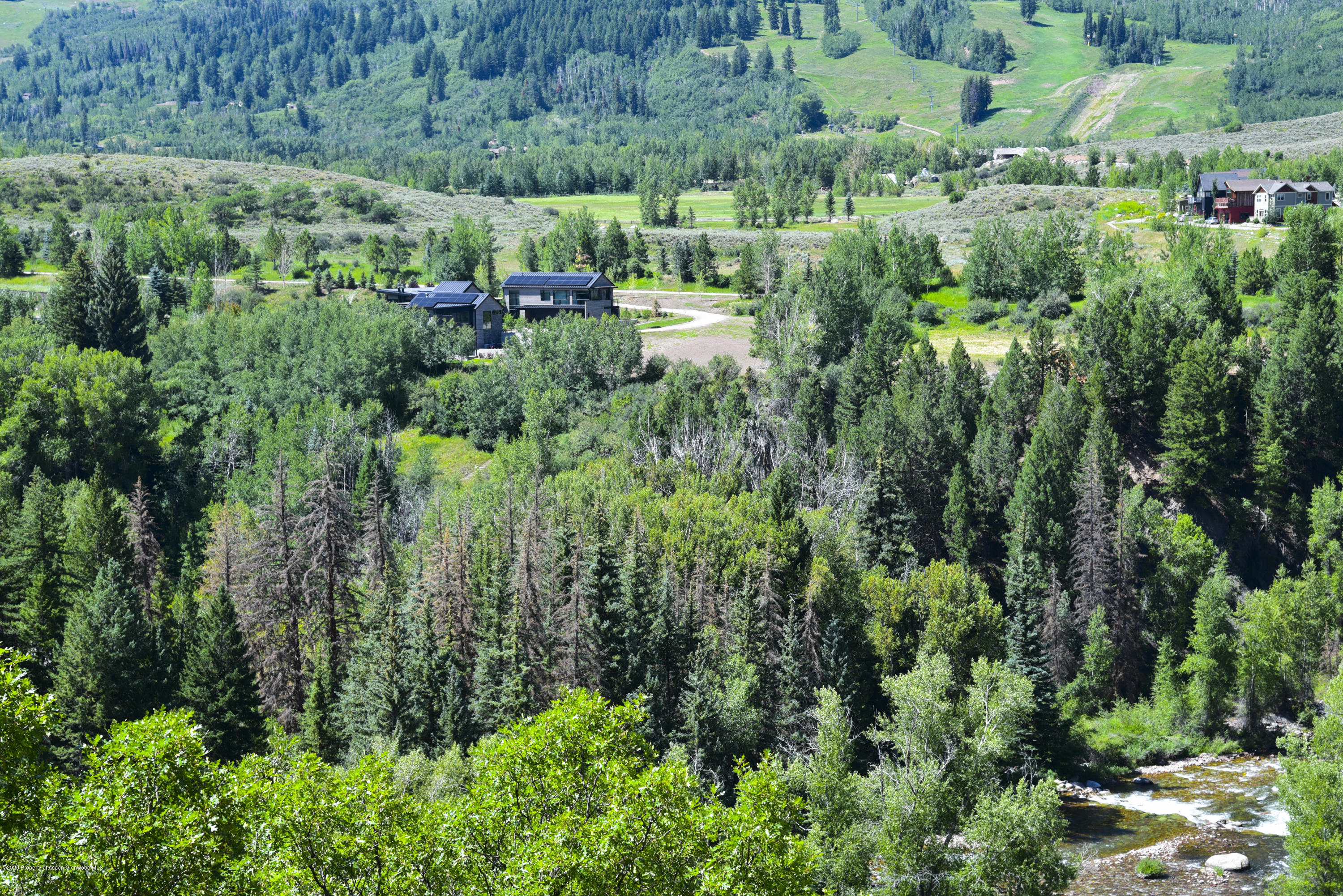 360 Coach Road Aspen, CO 81611 - Photo 8 of 33 a view of a lush green forest with lots of trees