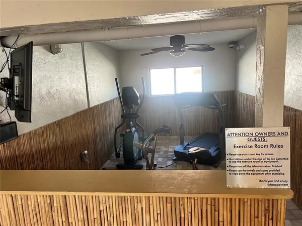 a view of a lake in middle of forest