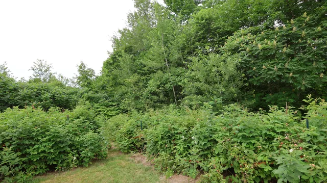 $440,000 | 1146 Post Road, Bowdoinham, ME 04008