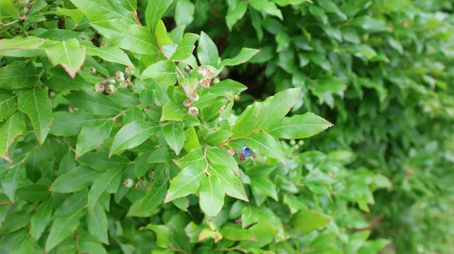 $440,000 | 1146 Post Road, Bowdoinham, ME 04008